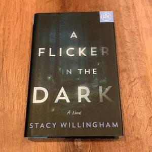 Book: A Flicker in the Dark by Stacy Willingham